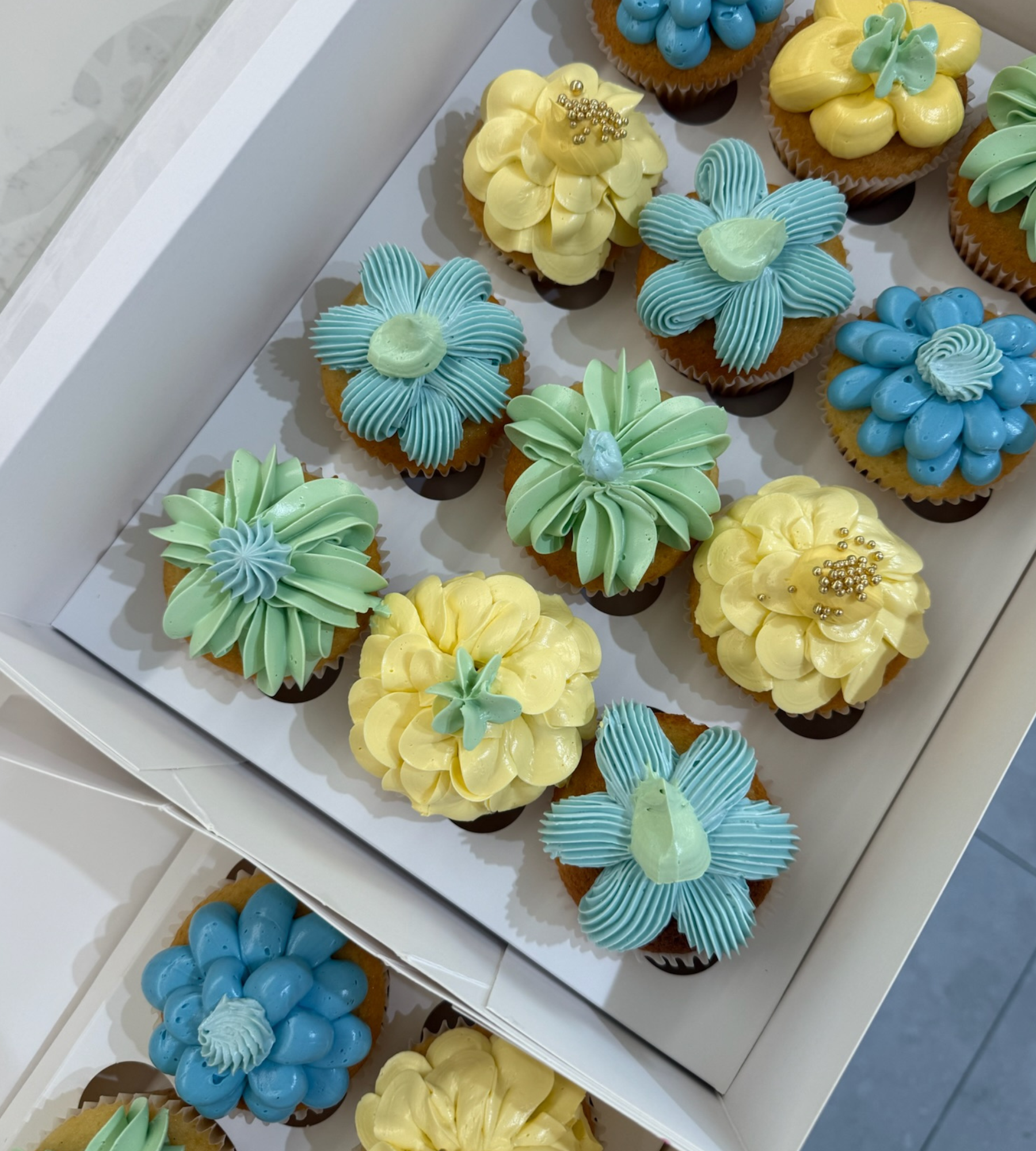 Regular Cupcakes