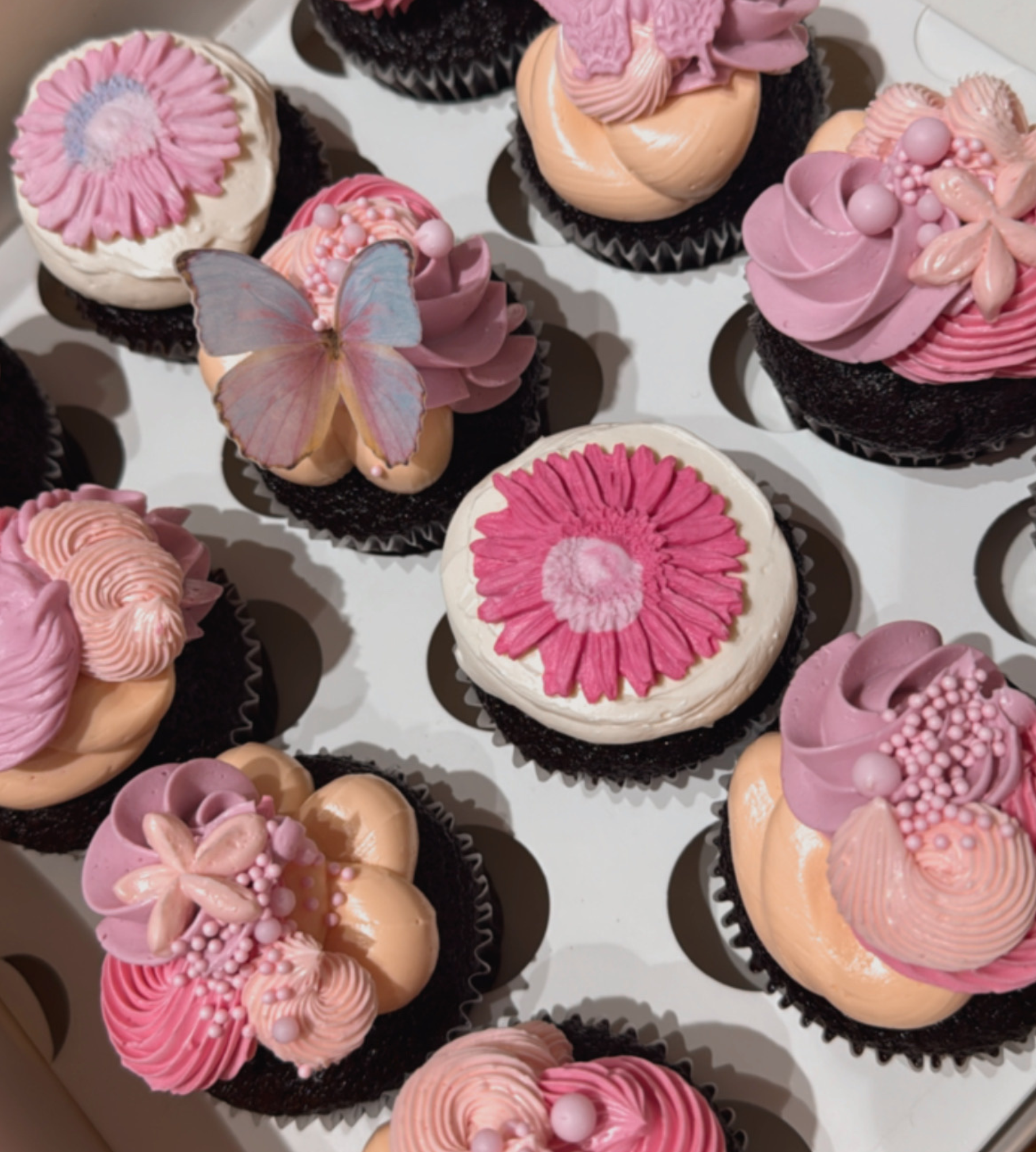 Regular Cupcakes