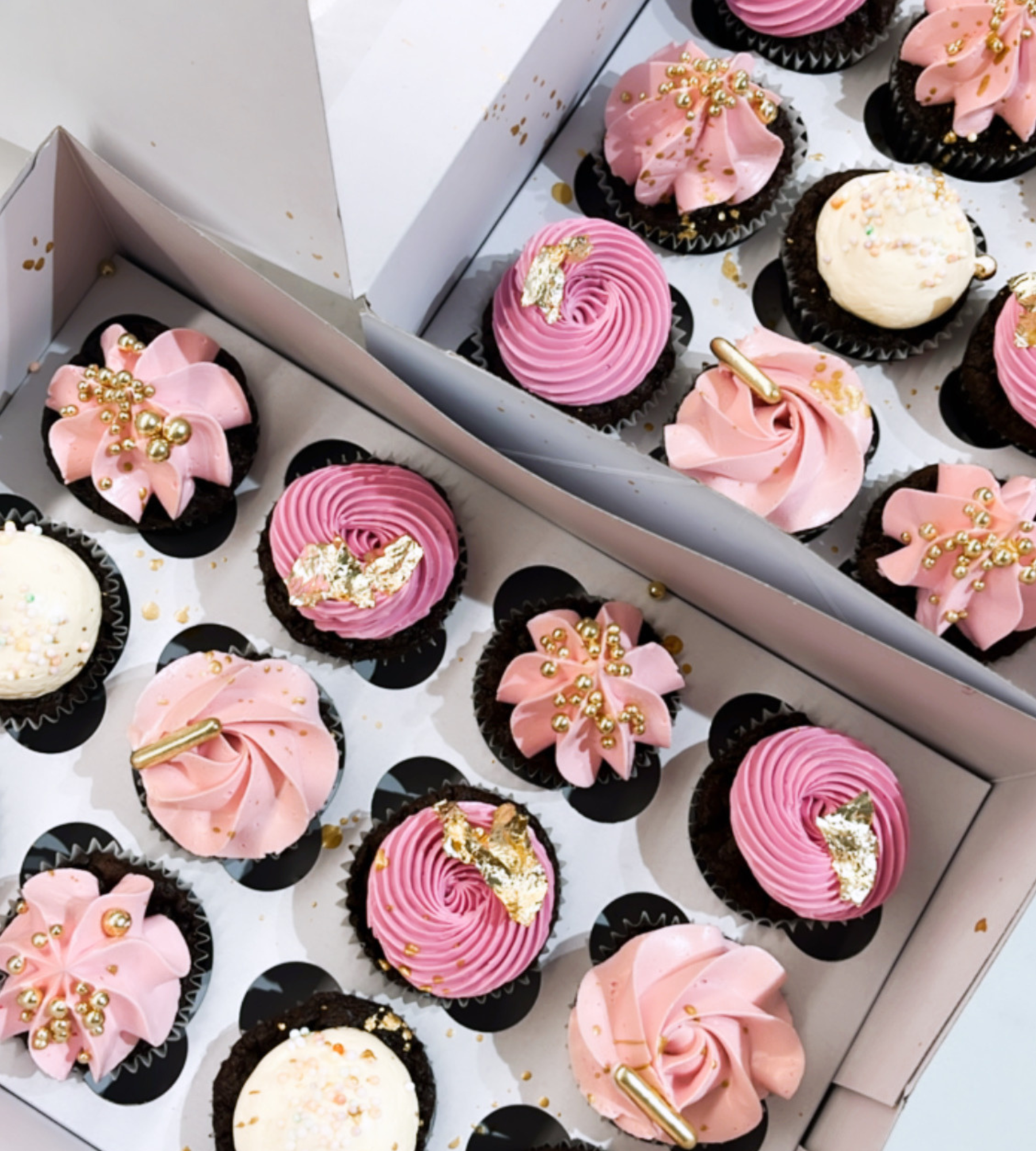 Regular Cupcakes