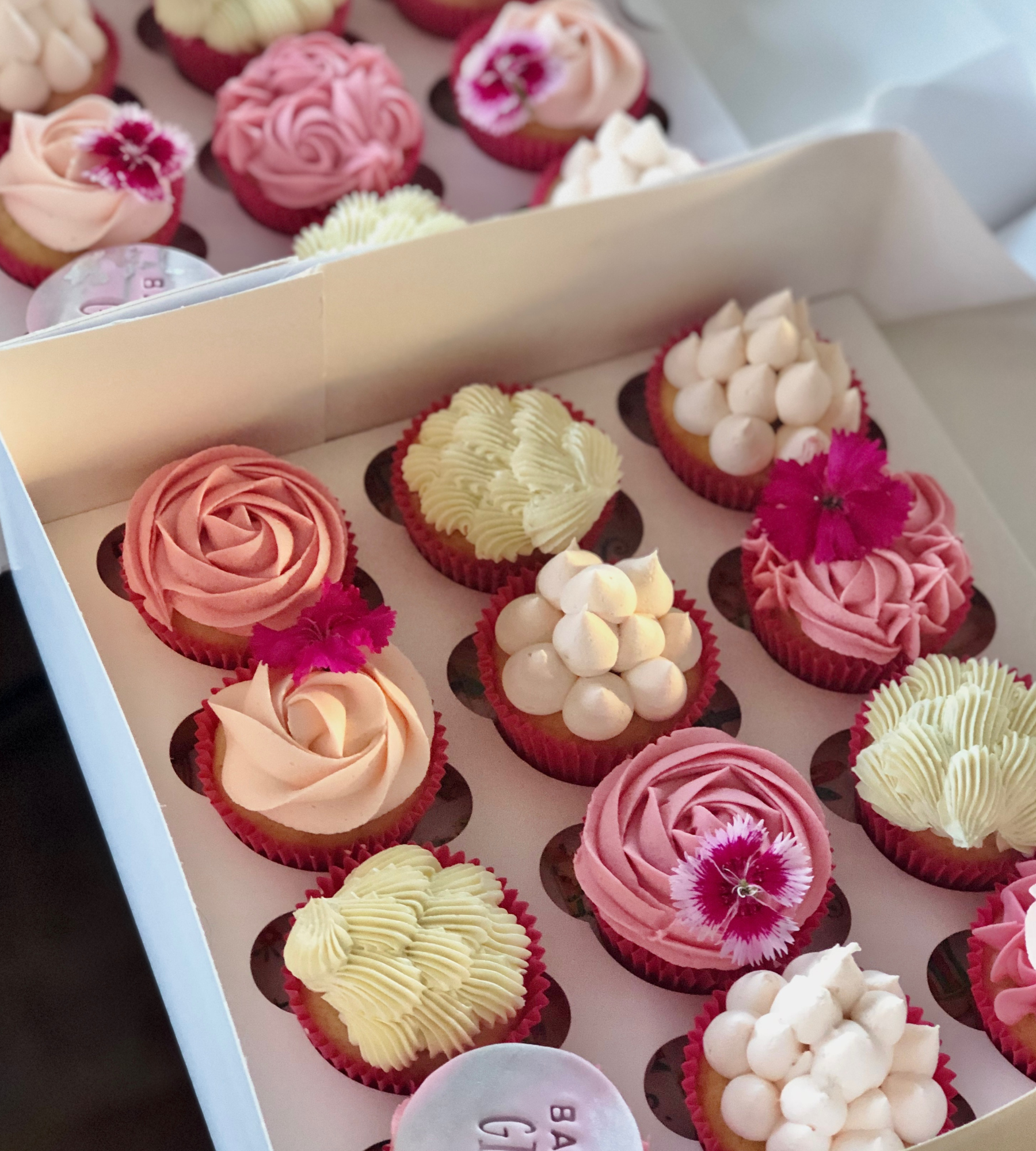 Regular Cupcakes