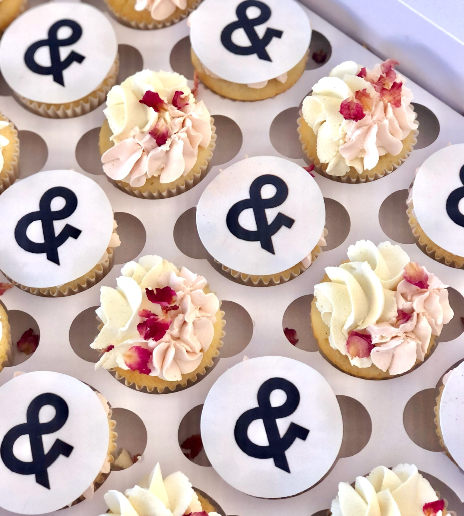 Mini Cupcakes