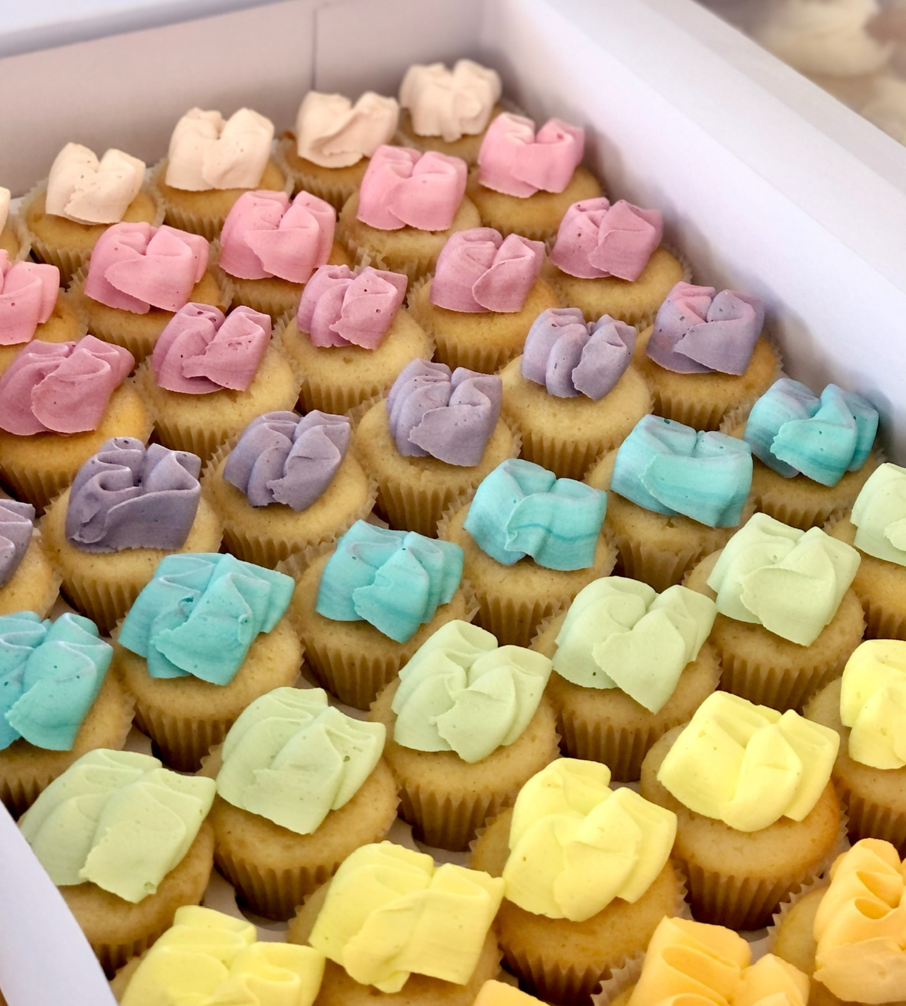 Mini Cupcakes
